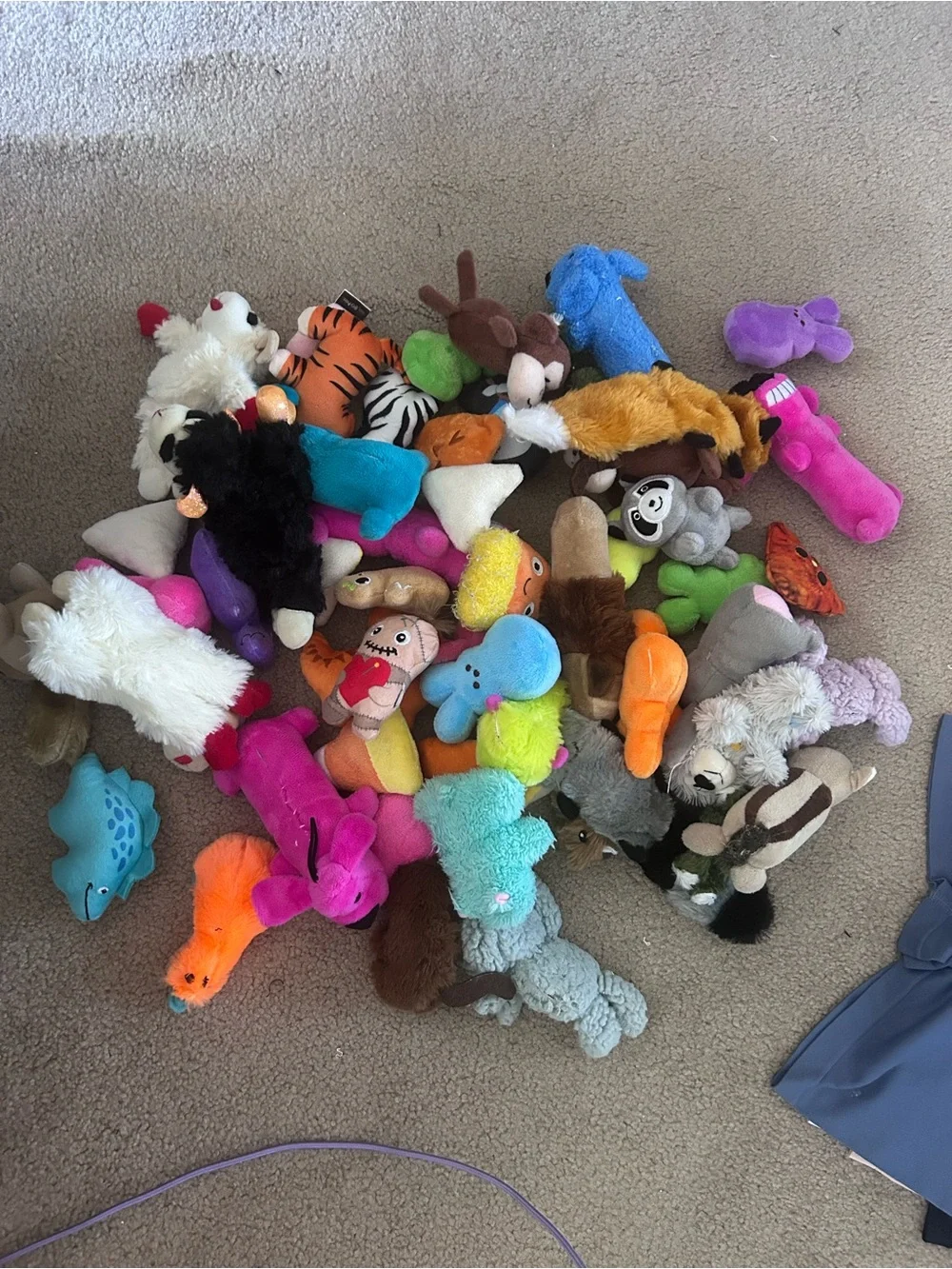 55 Plush Squeaky Dog Toy Assortment - Bright Multicolor Pack